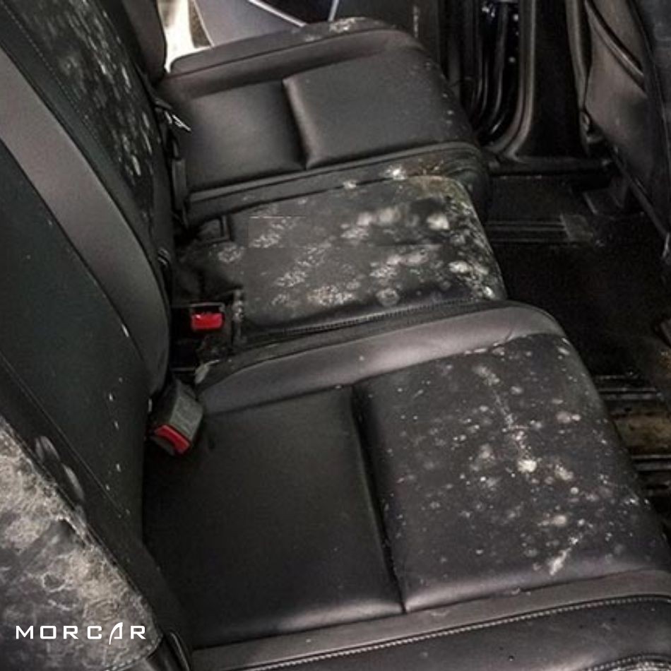 XỬ LÝ GHẾ DA Ô TÔ BỊ MỐC